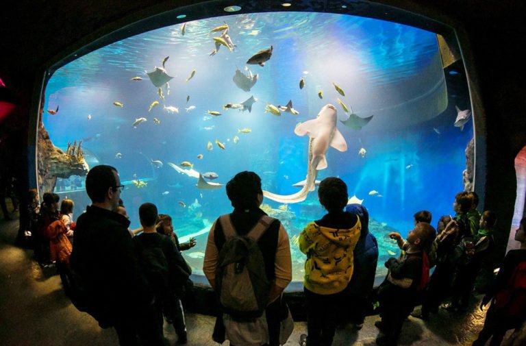 afrykarium wroclaw 1180x700 v2 jpg 768x505